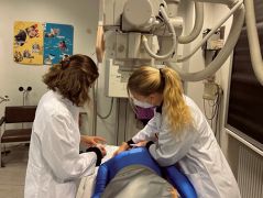 Bild Ausbildung MTLA Schülerinnen beim Röntgen
