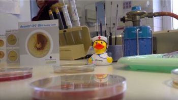 Bild Vorschau MT Schule Experiment Video bei Youtube