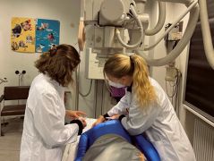 Bild Ausbildung MTLA Schülerinnen beim Röntgen Bild Ausbildung MTLA Schülerinnen beim Röntgen