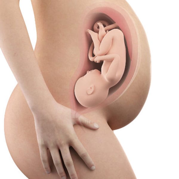Abbildung Schwangerschaftswoche 39